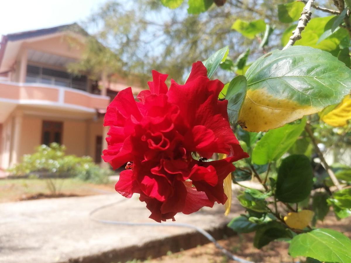 Ashoka Villa Jaffna Buitenkant foto
